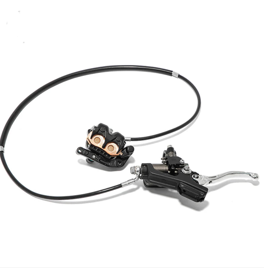 Rear Ultra bee brake kit